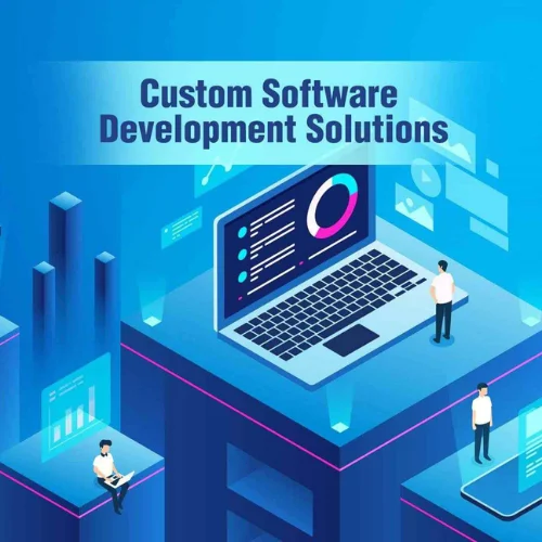Custom Software Development - Netri Infosoft