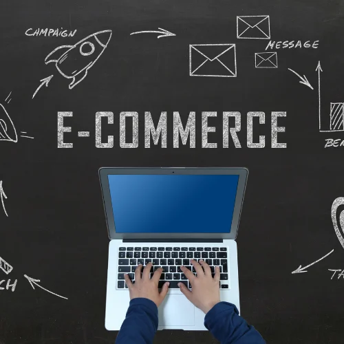 Netri Infosoft - E-Commerce Development
